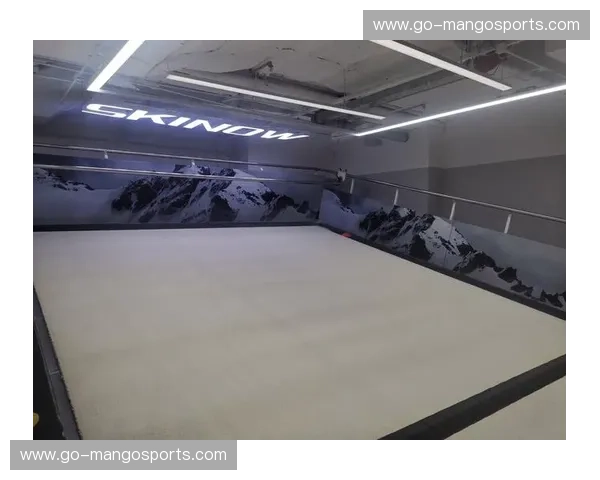 滑雪专栏：从白雪初体验到自由飞驰的完整指南